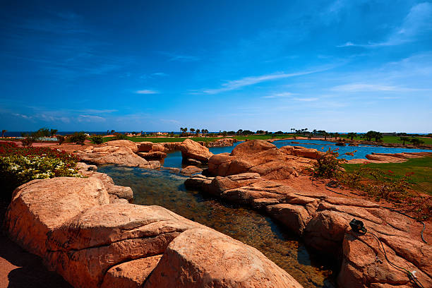 horizontal shot of summer landscape in Egypt in tropical day.