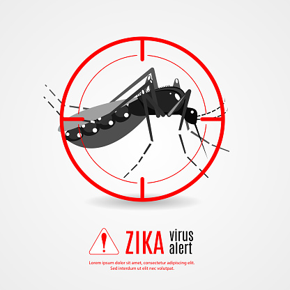 Nature, Aedes Aegypti mosquitoes with stilt target. sights signal. Ideal for informational and institutional related sanitation and care - stock vector