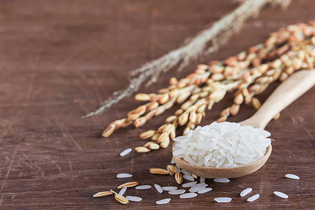 istock Close up wheat or paddy rice on wooden table 624032662