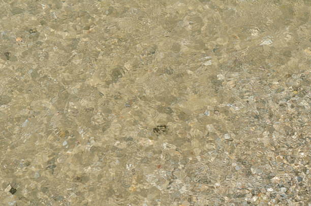 istock Background of sea sand beach and tiny sea shells 624032884