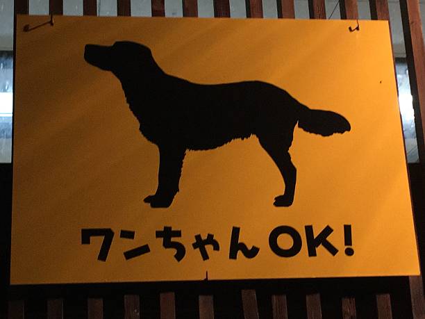 istock Dogs ok sign in Japan 624034002