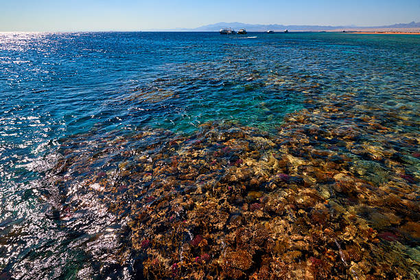 istock at the edge of the sea side 624048062