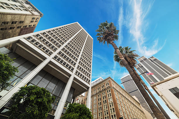 istock Palm trees in Downtown Los Angeles 624054672