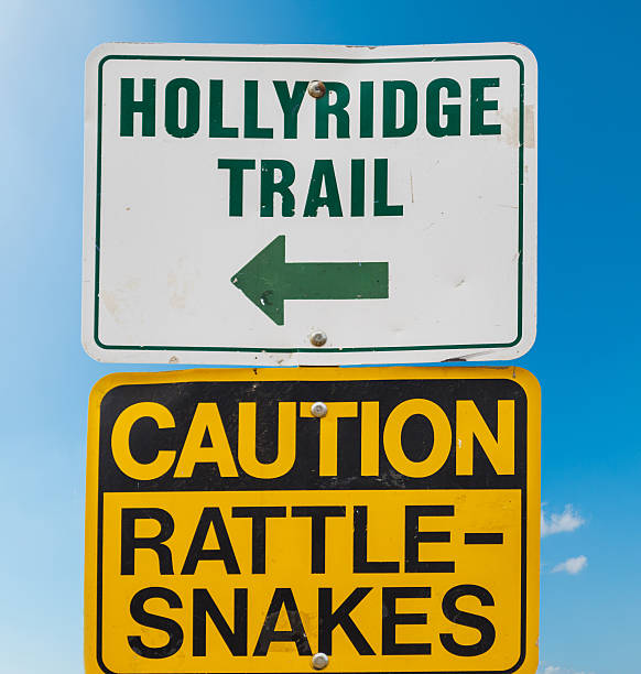 istock HOLLYRIDGE TRAIL and CAUTION RATTLE SNAKES signs 624054954