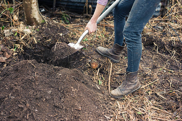 istock Young woman digging hole in garden 624055860
