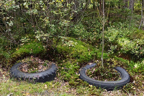 istock Tires dumped in the woods 624064084
