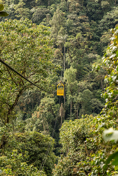 istock Mindo in the tropical rainforest of Ecuador 624064548