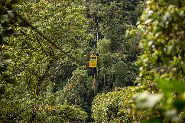 istock Mindo in the tropical rainforest of Ecuador 624064732
