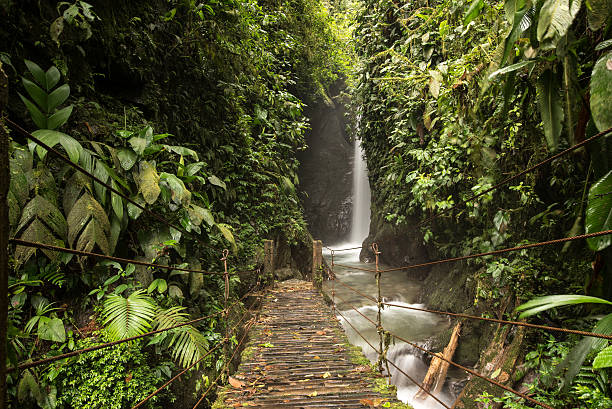 cachoeiras da floresta tropical em mindo, equador - tropical rainforest tropical climate waterfall landscape - fotografias e filmes do acervo