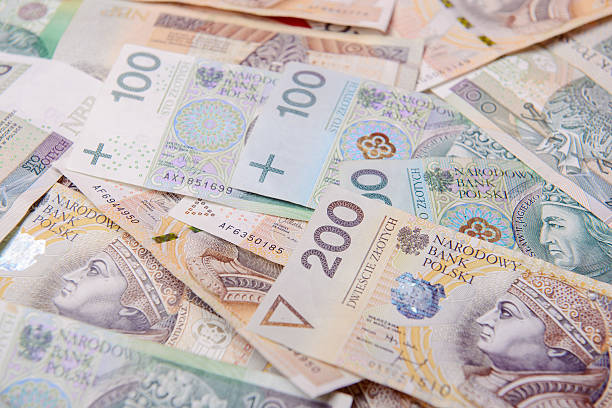 istock Polish zloty in notes and coins 624067650