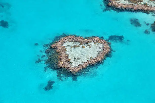 Photography of the Heart Reef on a scenic flight over the Great Barrier Reef