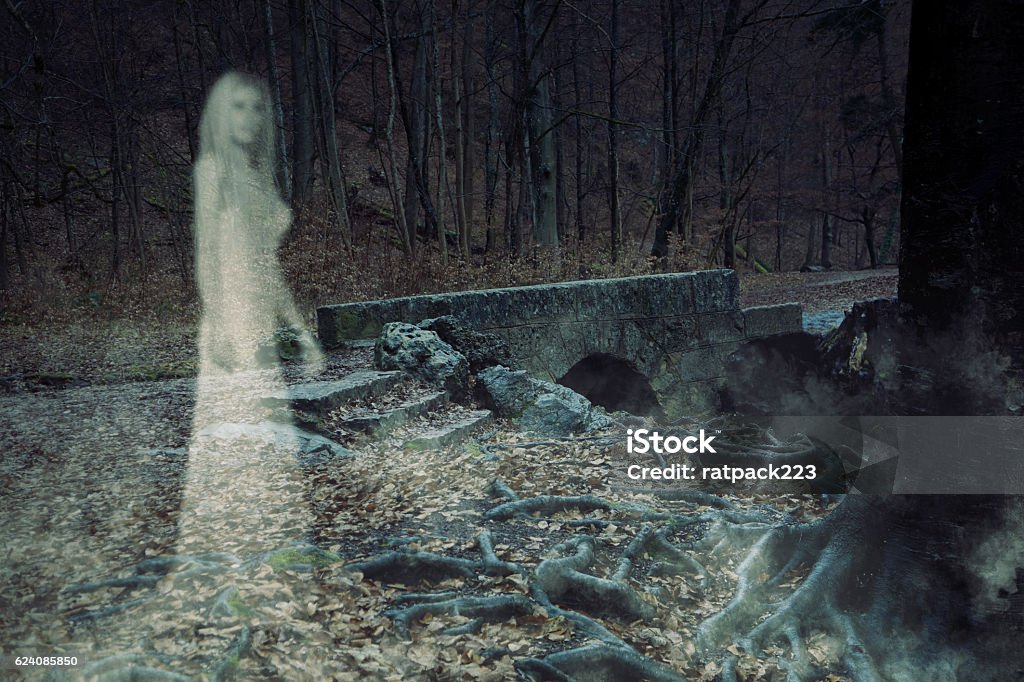 Ghost Woman in Forest 3D Illustration of the ghost of a woman in an ancient forest. Ghost Stock Photo
