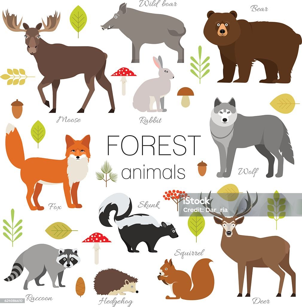 Forest animals set isolated vector. Moose, bear, fox, wolf, skunk Set of forest animals isolated vector. Moose, wild boar, bear, fox, rabbit, wolf, skunk, raccoon, deer, squirrel, hendgehog Vector stock vector