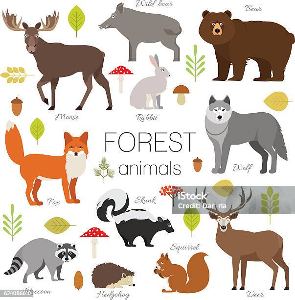 Forest Animals Set Isolated Vector Moose Bear Fox Wolf Skunk Stock Illustration - Download Image Now