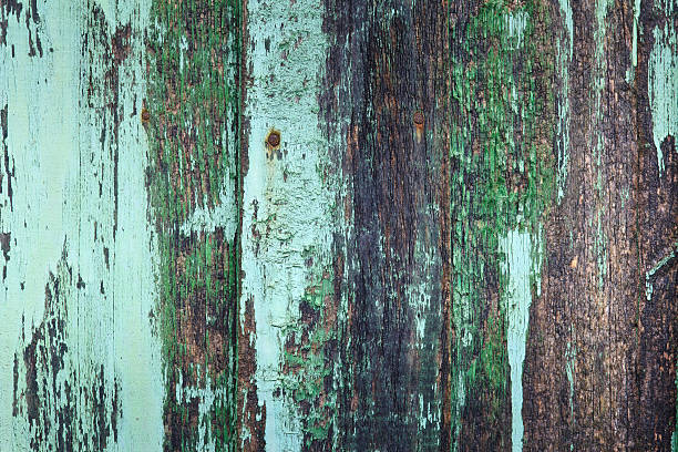 istock Painted old wooden board. Green background. 624086980
