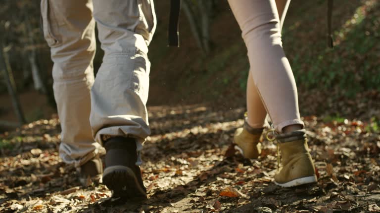 Hikers walking in forest