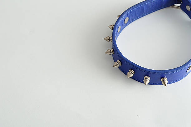 Black Leather Dog Spike Collar Isolated on White Background.
