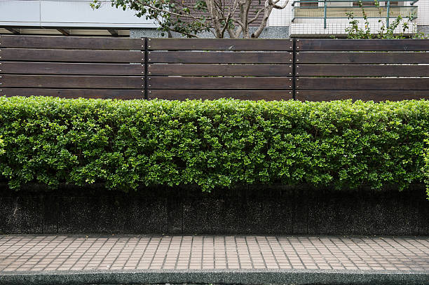 istock Large blank billboard on a street wall 624108004