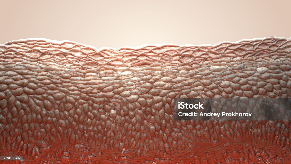 skin cells 3d living cells Biological Cell Stock Photo