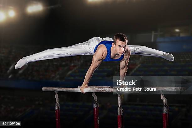 Foto de Retrato De Ginastas Jovens e mais fotos de stock de Ginástica - Ginástica, Performance, Sexo Masculino