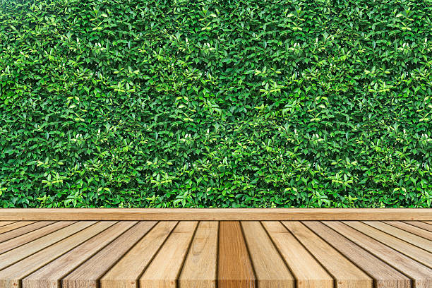 istock Empty top wooden table and green leave texture 624110432