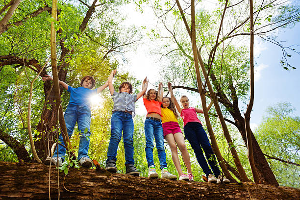 istock Happy kids standing on fallen tree in the forest 624111014