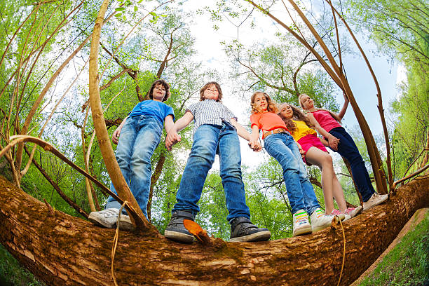 istock Kids standing together on trunk of fallen tree 624111318