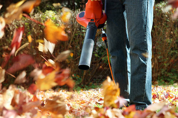 istock Man working with leaf blower: the leaves are being 624116266