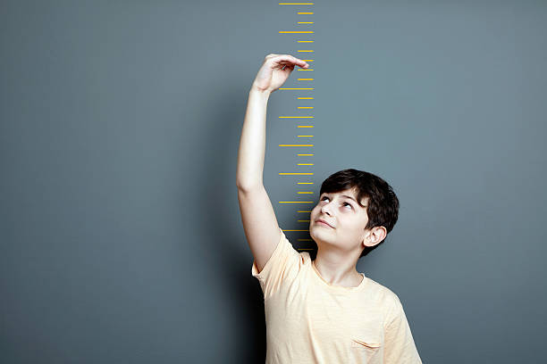 cute boy is showing height on a wall scale - kort längd bildbanksfoton och bilder