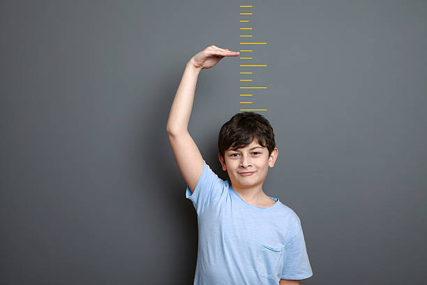 istock Cute boy is showing height on a wall scale 624116912