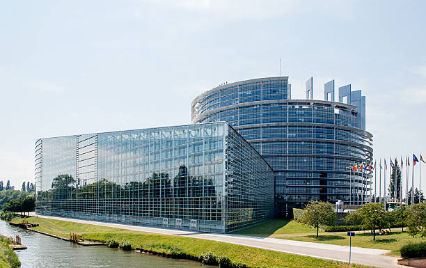 duże fasada parlamentu europejskiego w strasburgu - european parliament government flag europe zdjęcia i obrazy z banku zdjęć