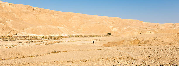 istock Backpacker guy walking hiking valley mountain desert trail panorama. 624125580