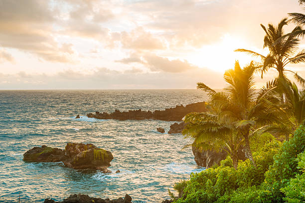 тропический живописный черный песчаный пляж хана мауи гавайи путешествия направления - hana maui sea scenics стоковые фото и изображения
