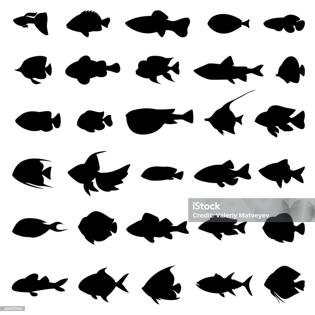 Fish vector silhouettes black on white Fish vector silhouettes black on white. Set of marine animals in monochrome style illustration Fish stock vector