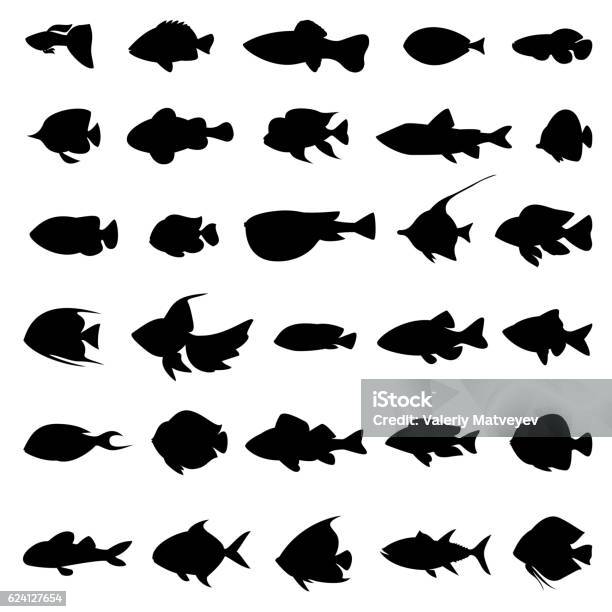 Fish Vector Silhouettes Black On White Stock Illustration - Download Image Now - Fish, In Silhouette, Shape