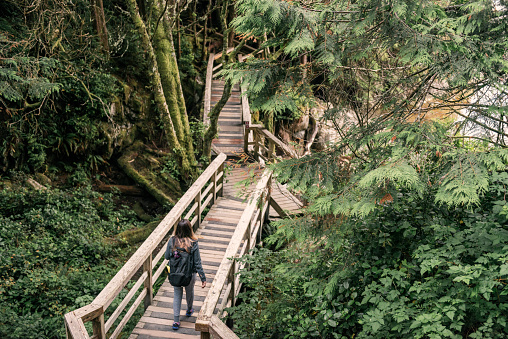 This is a horizontal, color photograph of a an American woman in her 20s hiking along a wooden boardwalk in Tofino in Pacific Rim National Park on Vancouver Island, BC Canada. Photographed with a Nikon D800 DSLR camera from a high angle view.