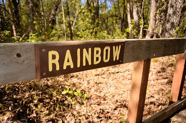 istock Rainbow sign on wooden fence railing 624131910