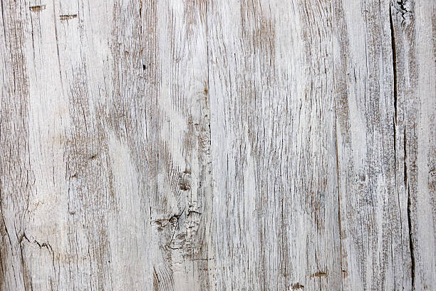 holz textur hintergrund  - wood birch wood grain textured stock-fotos und bilder