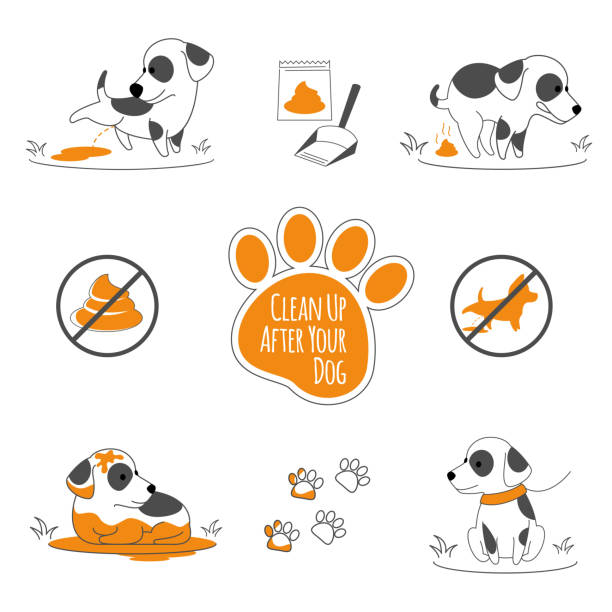 posprzątaj po ilustracji psa - dog dung garbage pets stock illustrations