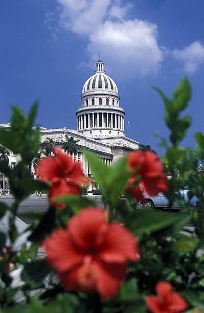 istock AMERICA CUBA HAVANA 624141024