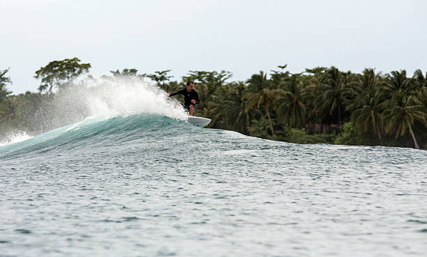 istock Surfer on a wave and tropical palm tree island 624146774