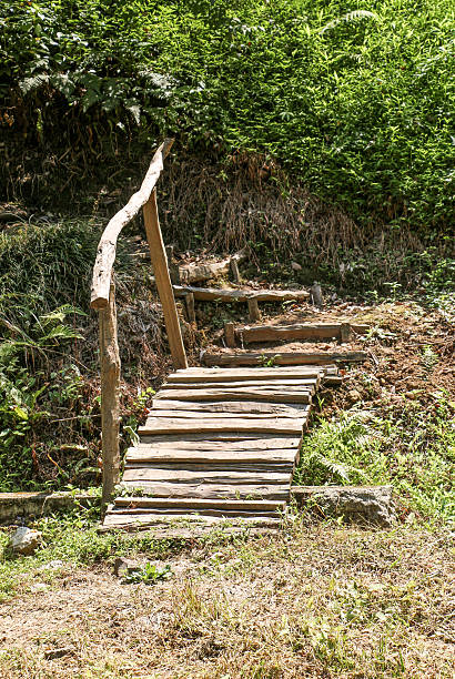 istock Wooden stairs made from tree trunks 624148026