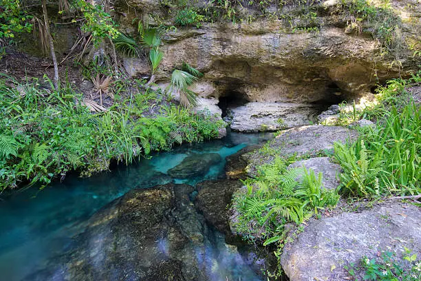 Clear water from a natural spring flows from a limestone cave in a lush tropical landscape at Rock Springs.