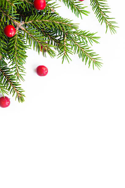 istock Pine Tree and Red Berries Christmas Background 624154084