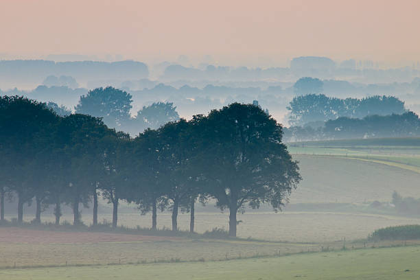 istock Row of trees in hazy landscape 624154192