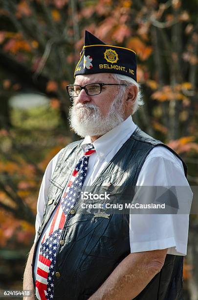 American Veterans Honored At A Veterans Day Cermony Stock Photo - Download Image Now