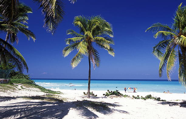 a beach on the coast of Varadero on Cuba in the caribbean sea.