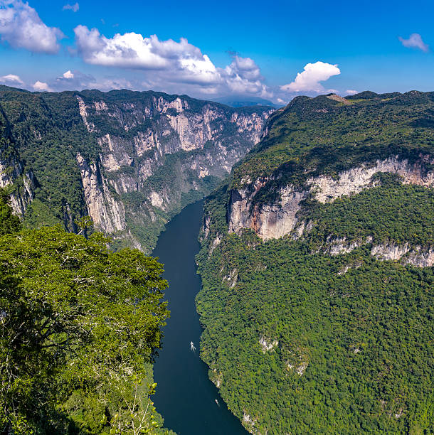 istock View from above the Sumidero Canyon - Chiapas, Mexico 624158292