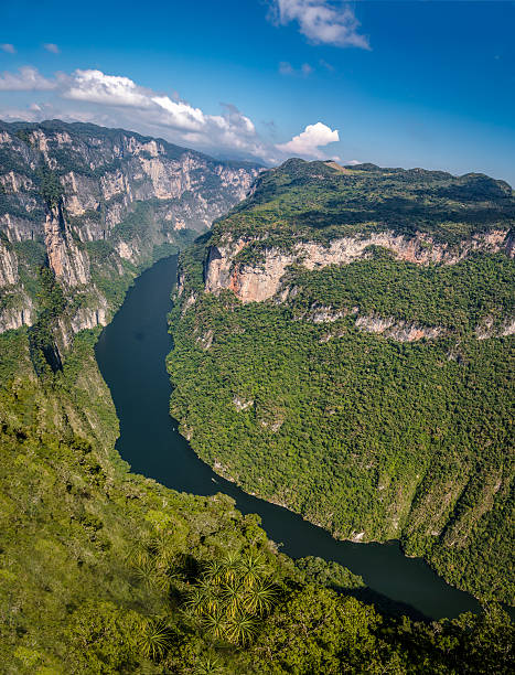 istock View from above the Sumidero Canyon - Chiapas, Mexico 624158372