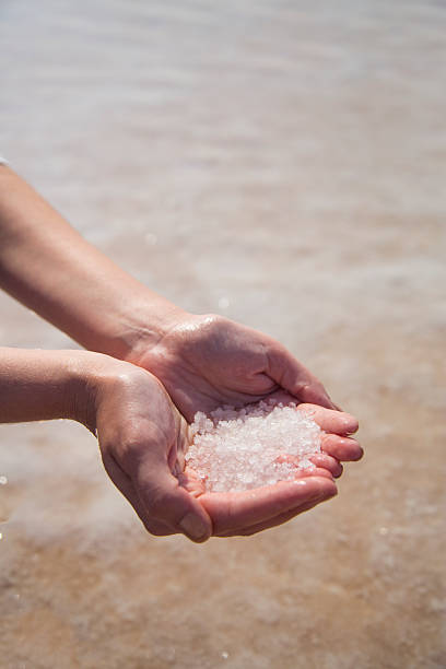 donna che tiene il sale al lago salato - marine salt foto e immagini stock